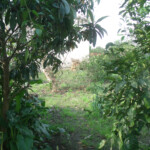 GEDSC DIGITAL CAMERA