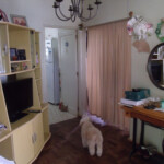 GEDSC DIGITAL CAMERA