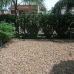 GEDSC DIGITAL CAMERA