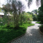 GEDSC DIGITAL CAMERA