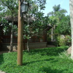 GEDSC DIGITAL CAMERA