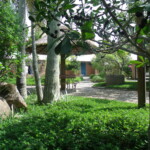 GEDSC DIGITAL CAMERA