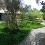 GEDSC DIGITAL CAMERA