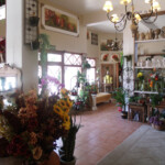 GEDSC DIGITAL CAMERA