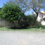 GEDSC DIGITAL CAMERA