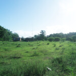 GEDSC DIGITAL CAMERA