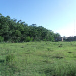 GEDSC DIGITAL CAMERA